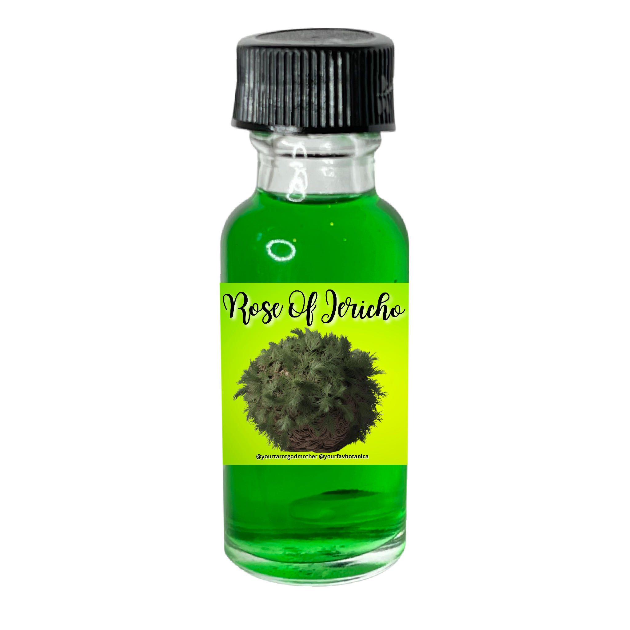 Rose Of Jericho Spell Oil