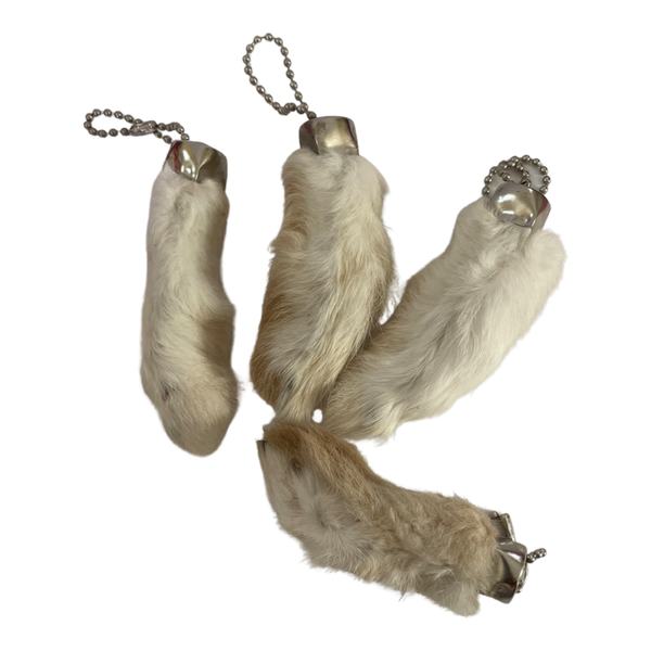 Rabbit Foot Key Chain